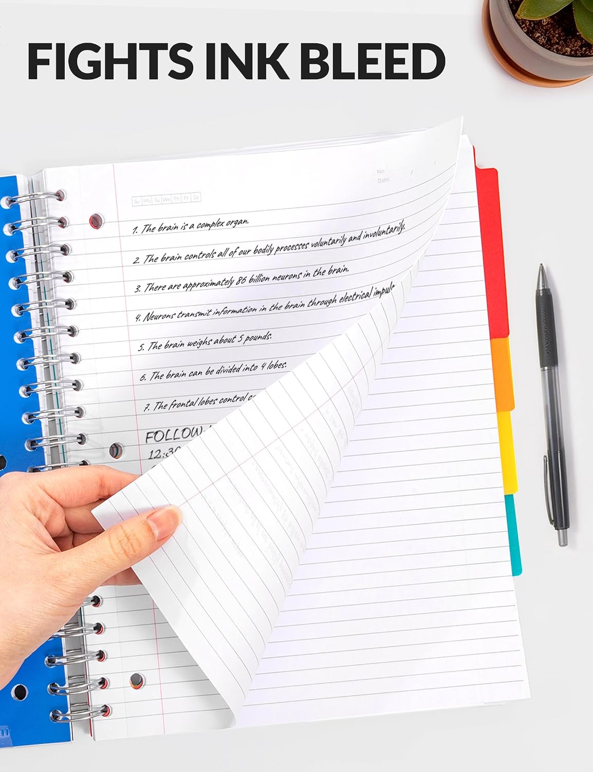 SUNEE Spiral Notebooks for Work with Removable Dividers & Tabs – College Ruled 5 Subject, 300 Pages, 3 Hole Punched, Durable PP Cover, 8"x10.5" – Notebooks for Office or School, Pink